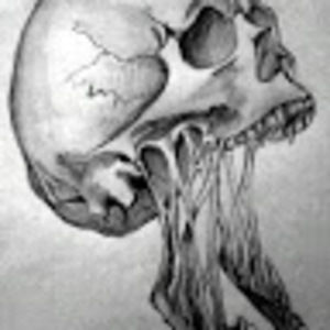 Meet your Posher, Darin